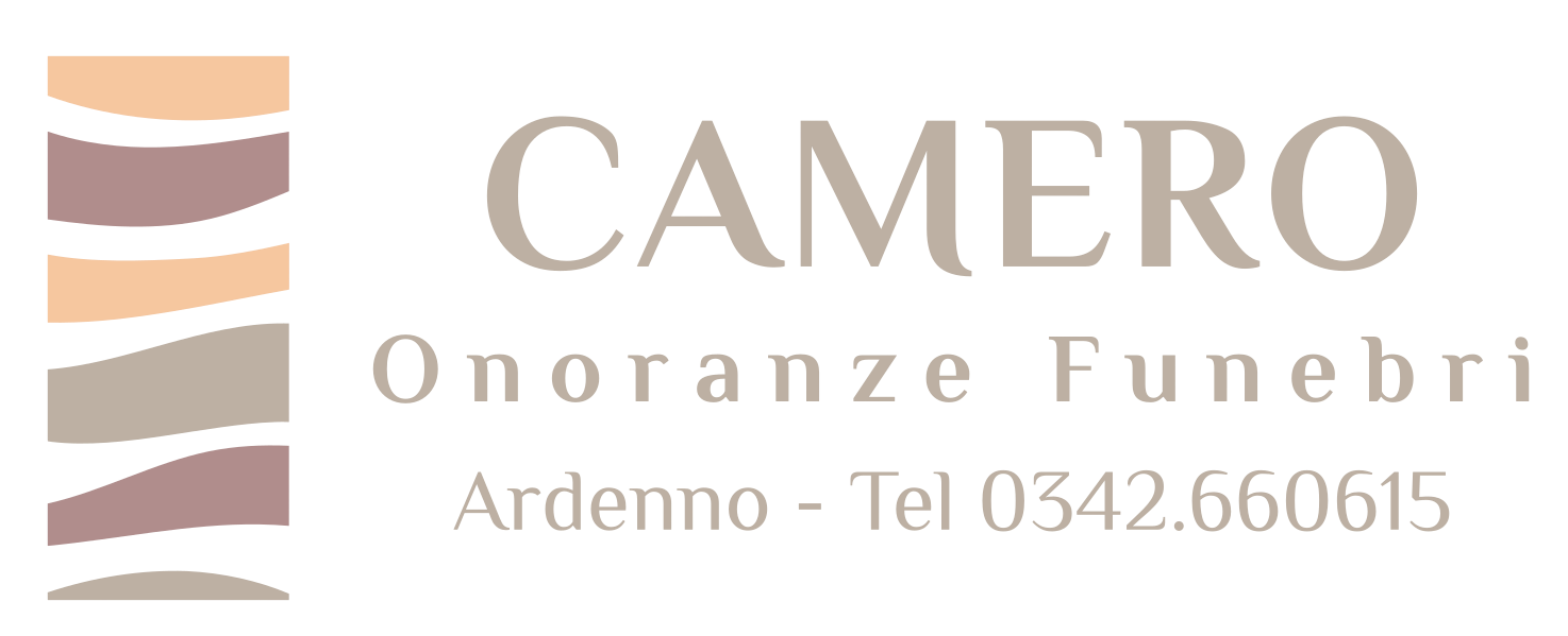 logo camero
