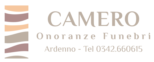 logo camero